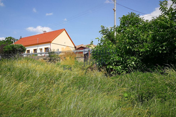 IMG_20190611_143835.jpg
