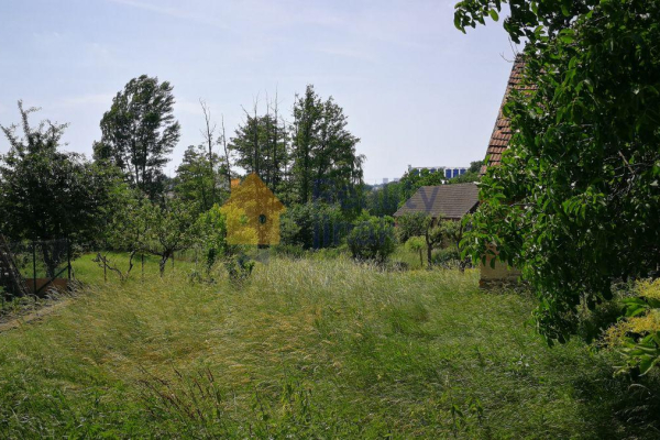 IMG_20190611_143746.jpg