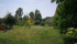 IMG_20190611_143746.jpg