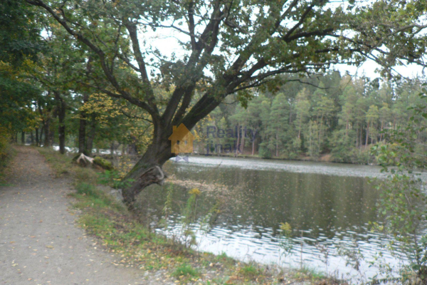 P1270148.JPG
