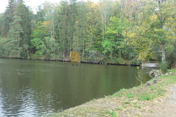 P1270149.JPG
