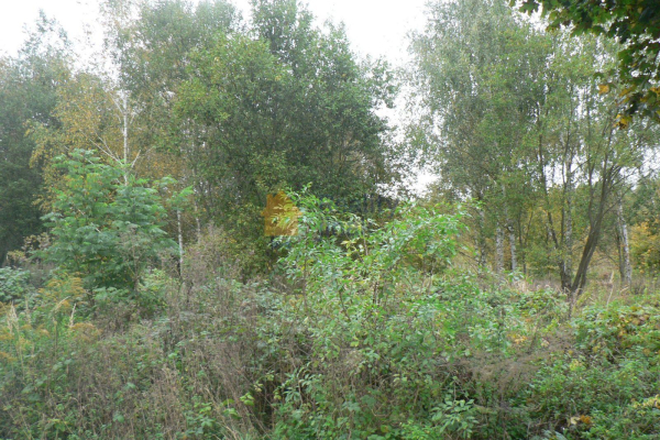 P1270124.JPG