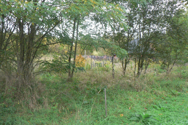 P1270135.JPG
