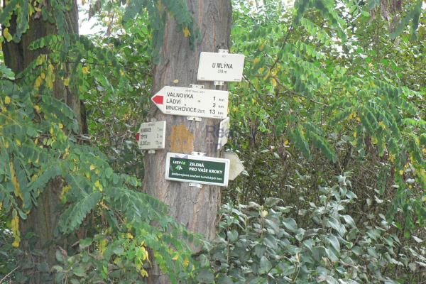 P1270151.JPG