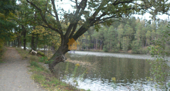 Prodej pozemku k bydlení, 1786m2, v obci Olešovice (Kamenice), okres Praha-východ