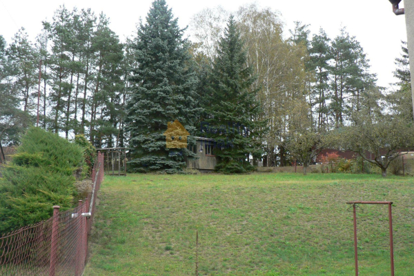 P1270254.JPG