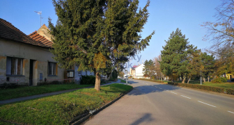 Prodej pozemku ke komerčnímu využití, 1067m2, centrum obce Velké Bílovice