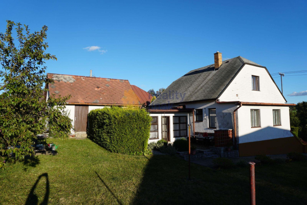 DAV01394a.jpg