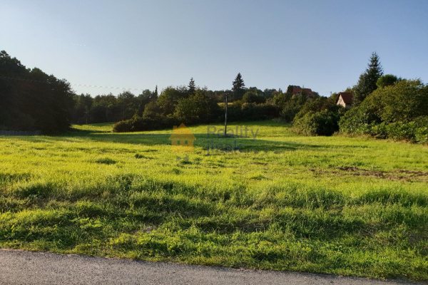 20210904_180756.jpg