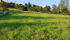 20210904_180303.jpg