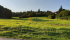 20210904_180756.jpg