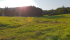 20210904_180709.jpg