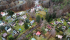 RemoteMediaFile_6553991_0_2021_11_27_14_14_46.JPG