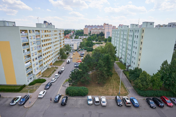 matuskova_19.jpg