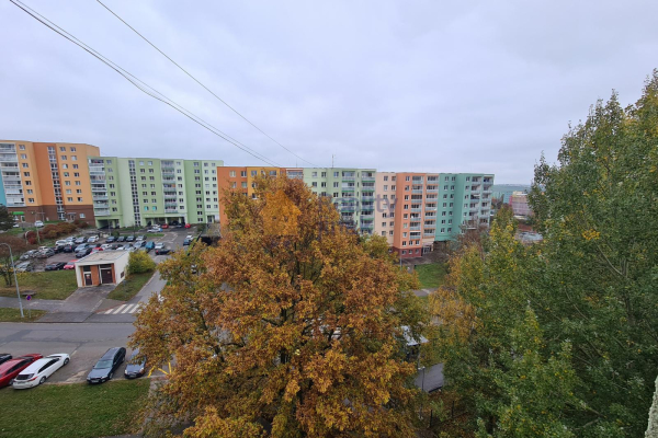 20221101_133446.jpg