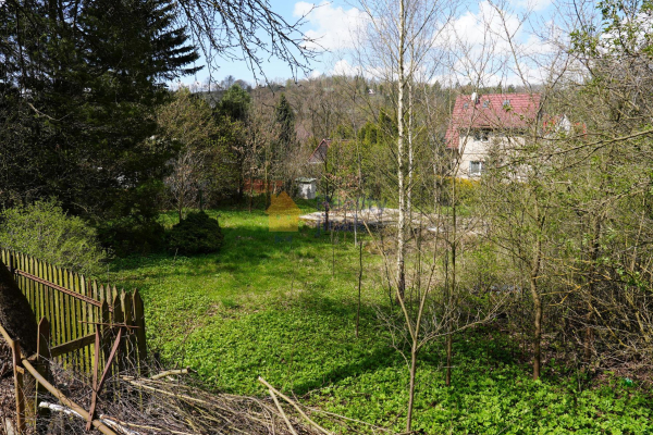 DSC00359.JPG