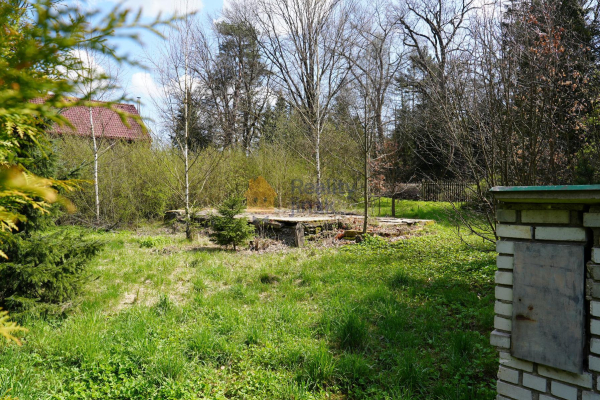 DSC00355.JPG