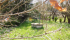 DJI_0664.JPG