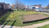 20250328_114927.jpg
