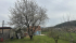 IMG_7039.jpeg