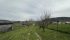 IMG_7041.jpeg