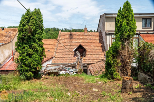 photo (19 of 19).jpg