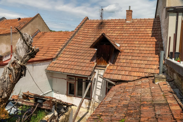 photo (17 of 19).jpg