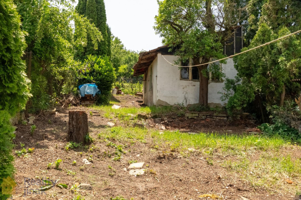 photo (18 of 19).jpg