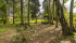 DSC09736.jpg