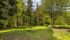 DSC09761.jpg