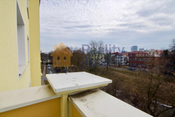 DSC_0329 3_16_2018.jpg